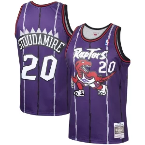Prestigioso Stupendo Carino Damon Stoudamire Toronto Raptors 1995/96 Hardwood Classics Swingman Jersey Purple