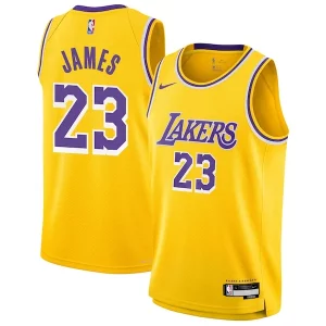 Delizioso LeBron James Los Angeles Lakers Nike Youth Swingman Jersey Icon Edition Gold
